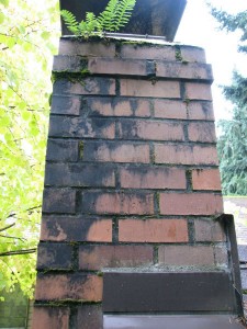 chimney-maintenance-middleburg-fl-hudson-chimney