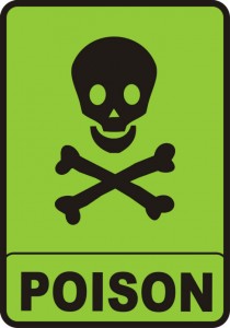 dangerous-carbon-monoxide-poisoning-middleburg-fl-hudson-chimney
