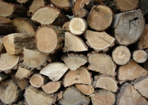 firewood-seasoned-jacksonville-fl-hudson-chimney