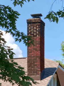 masonry chimney behind tree branches