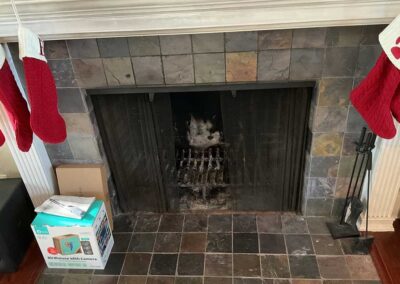 Direct Vent Citi Series Before
